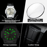 Luxury Luminous Men's Watch