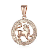 12 Zodiac Signs Necklace - Crazy Fox