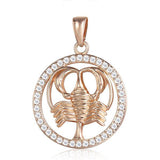 12 Zodiac Signs Necklace with Stones - Crazy Fox