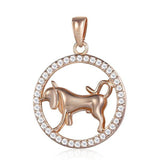 12 Zodiac Signs Necklace with Stones - Crazy Fox