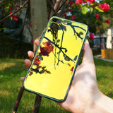 Gradient Blue-Ray Transparent iPhone Case - Crazy Fox