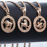 12 Zodiac Signs Necklace - Crazy Fox