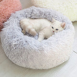 Crazy Fox Winter Pet Bed Cushion - Crazy Fox