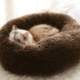 Crazy Fox Winter Pet Bed Cushion - Crazy Fox