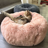 Crazy Fox Winter Pet Bed Cushion - Crazy Fox