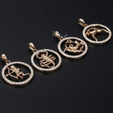12 Zodiac Signs Necklace with Stones - Crazy Fox