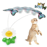 Electric Butterfly Cat Toy - Crazy Fox