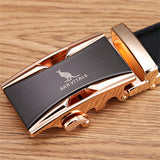 Signature Leather Belt - Crazy Fox